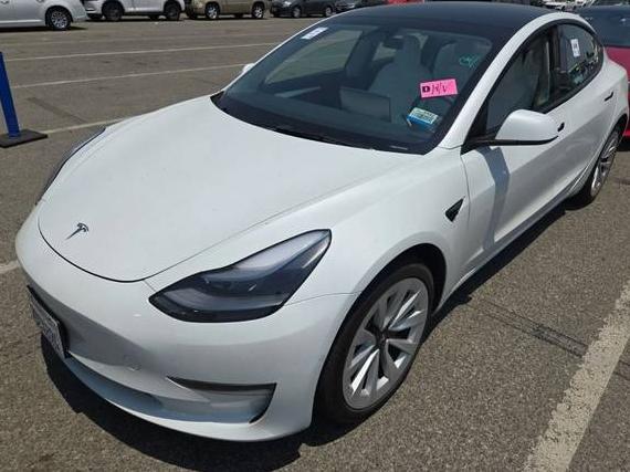 TESLA MODEL 3 2022 5YJ3E1EA9NF358261 image